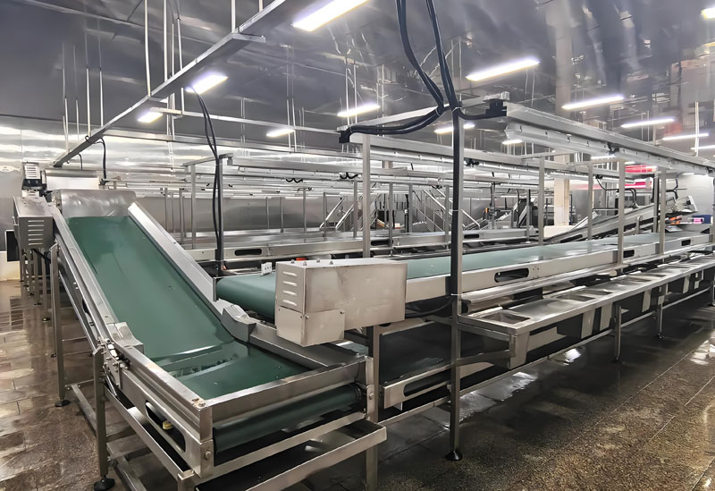 Meat Processing Equipment