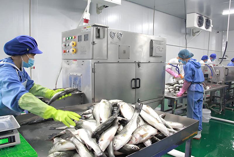 Seafood Processing Equipment