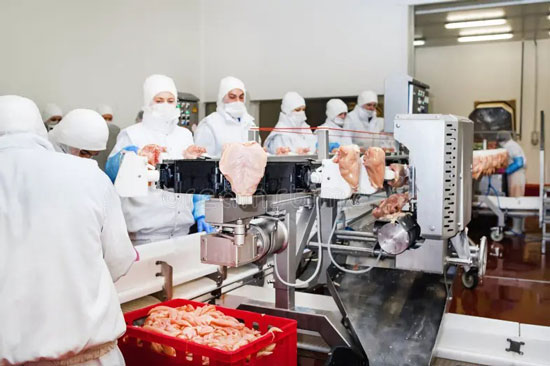Choosing The Right Meat Processing Equipment Supplier(图1)