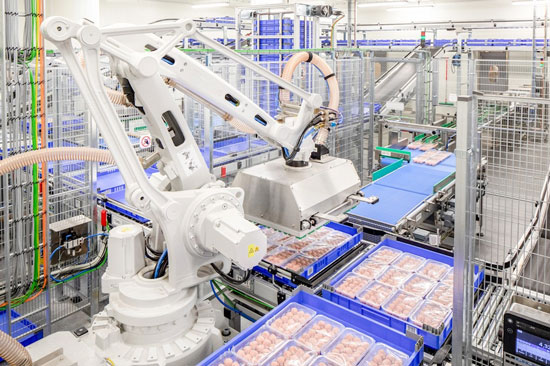 Commercial Meat Processing Equipments Automation and Smart Solutions(图1)
