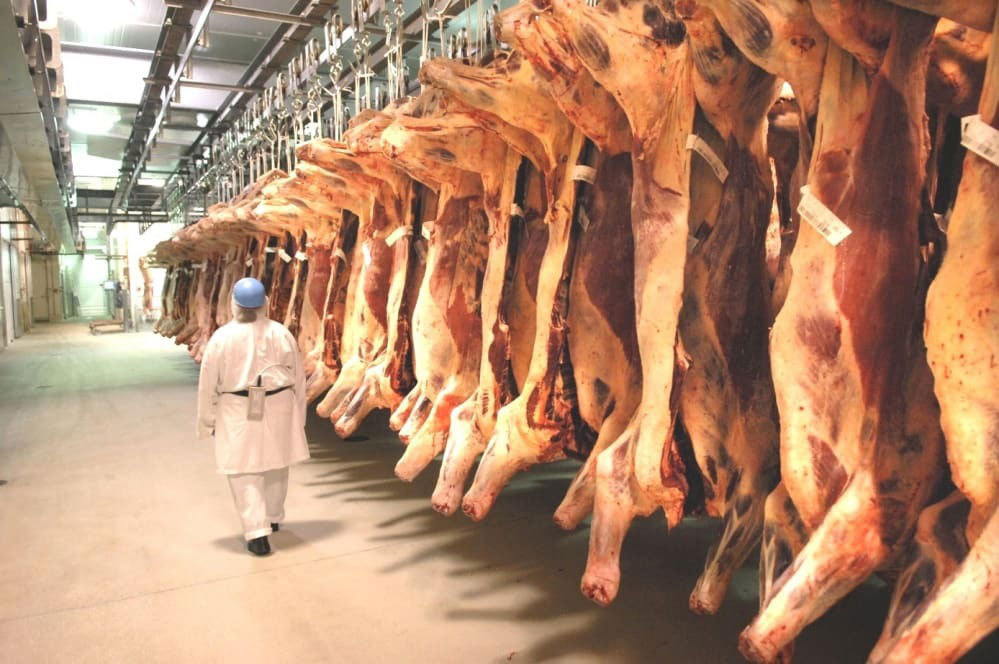 Beef Processing Equipment: The New Frontier of Custom Solutions(图1)