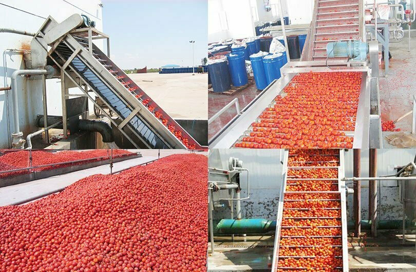 The Making of a Pantry Staple: Demystifying the Tomato Paste Production Process(图1)