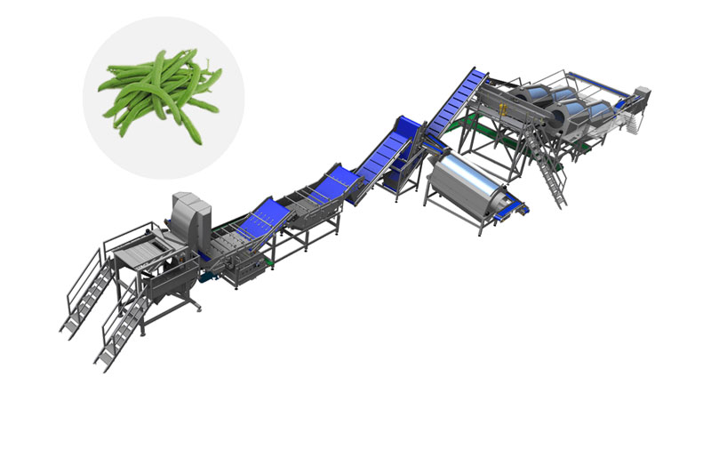 From Field to Fork: Exploring the World of Green Bean Processing Equipment(图1)