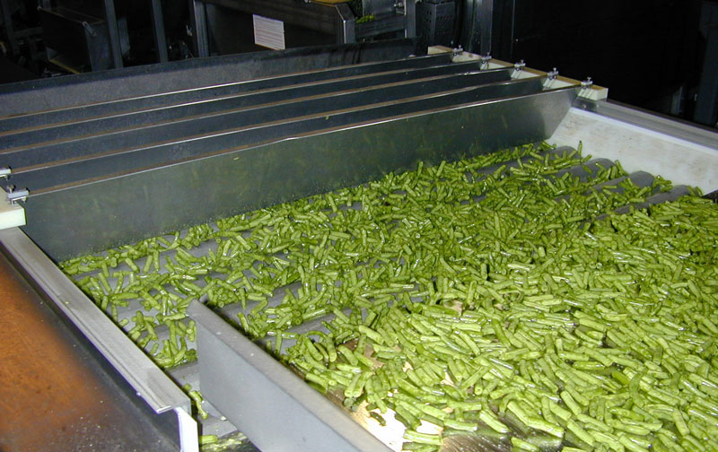 From Field to Fork: Exploring the World of Green Bean Processing Equipment(图2)