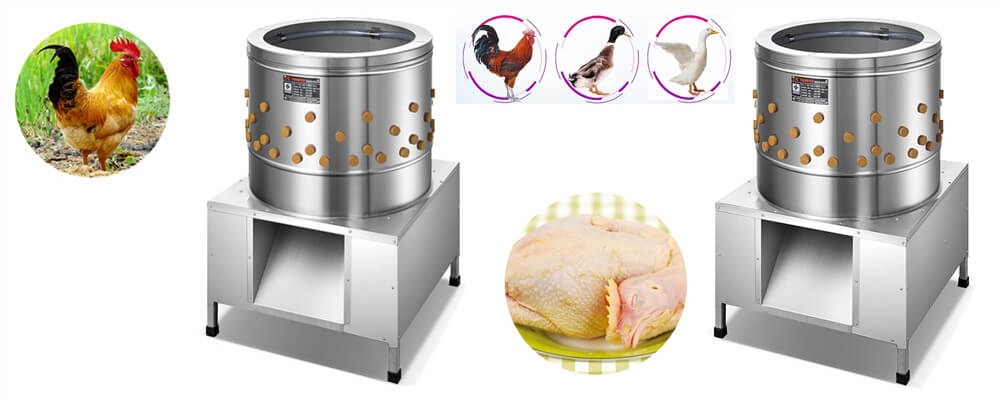 Poultry Feather Removal Machine(图1)