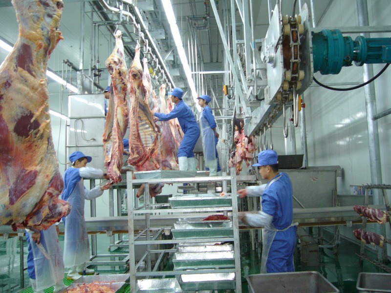 What Are The Machines Used For Meat Production？(图1)