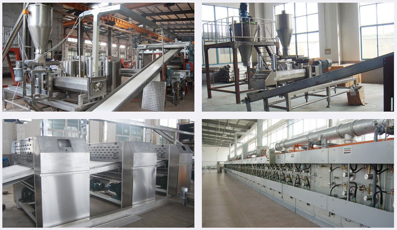 Compound Potato Chips Baking Line(图3)