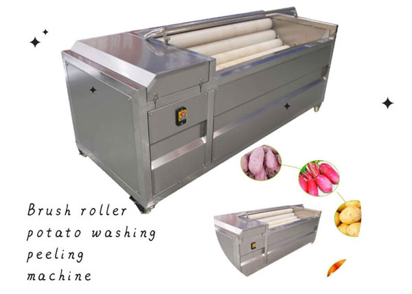 Brush Potato Washing Peeling Machine(图1)