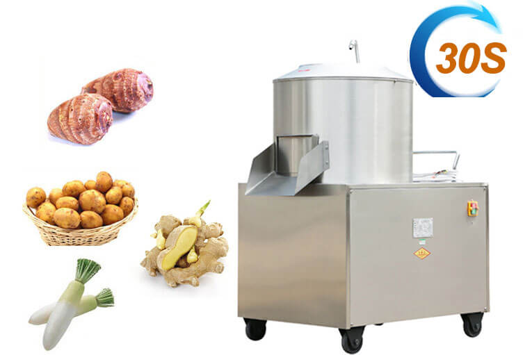 Potato Washing&Peeling Machine(图1)