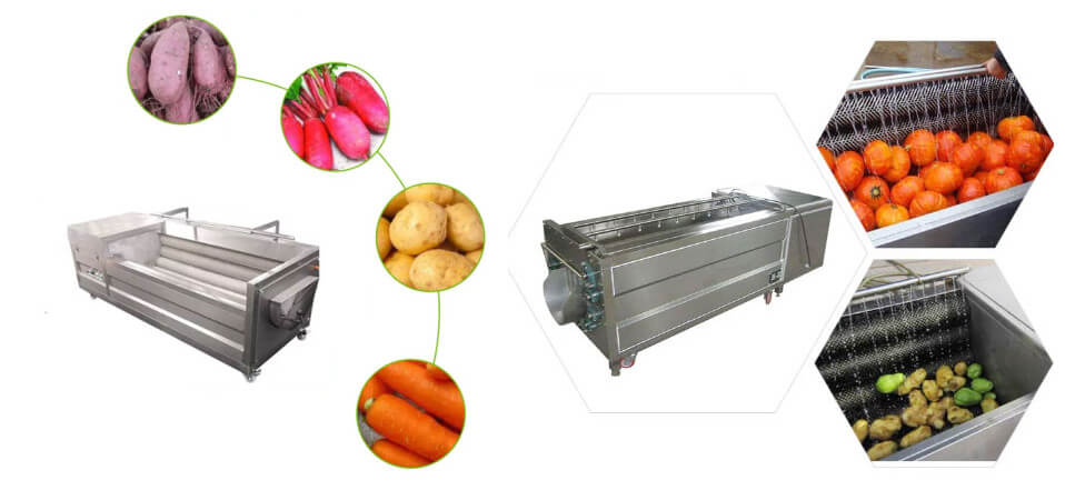 Potato Washing&Peeling Machine(图2)