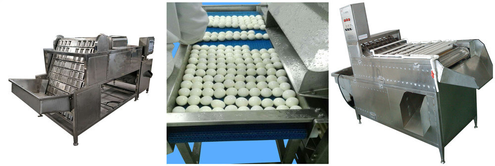 Chicken Egg Peeling Machine(图1)