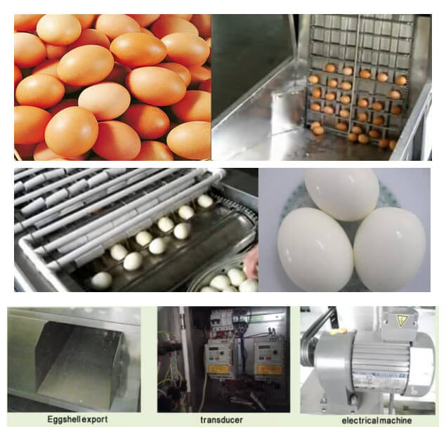 Chicken Egg Peeling Machine(图2)