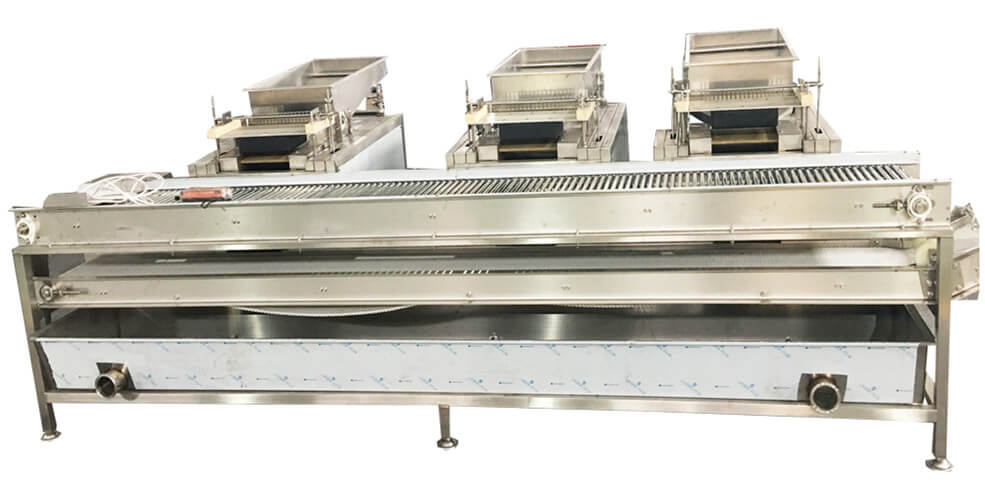 Quail Egg Processing Line(图3)