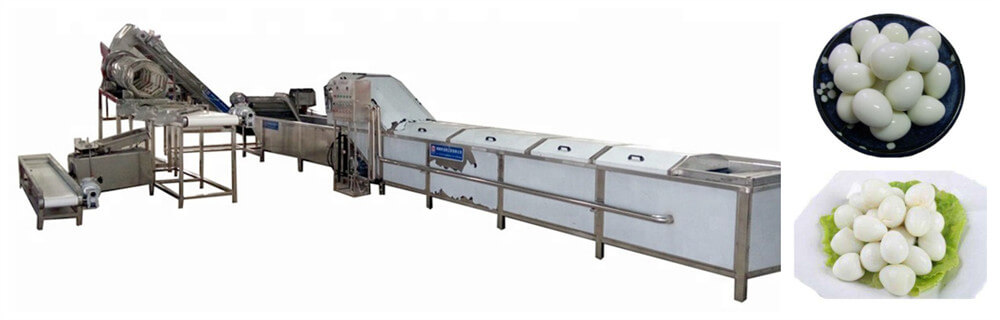 Quail Egg Processing Line(图4)