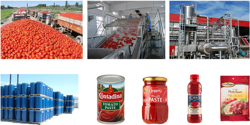 Tomato Ketchup Processing Line(图1)