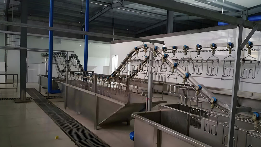 Poultry Slaughtering Line(图1)