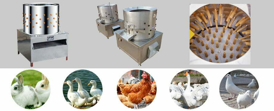 Chicken Plucker Machine(图3)