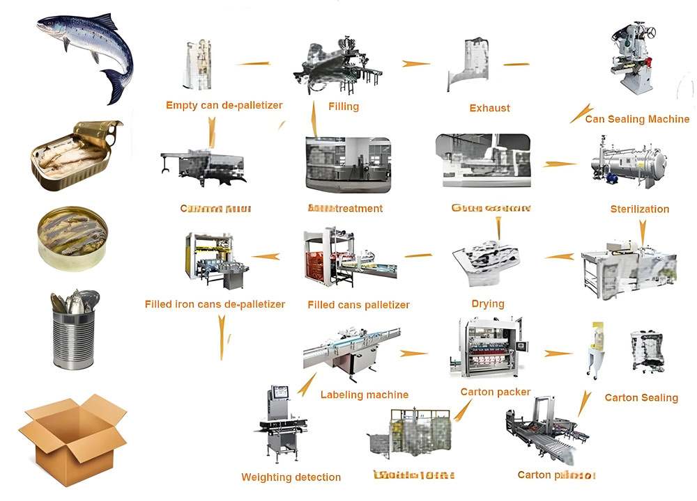 Canned Sardine Production Line Equipment(图1)