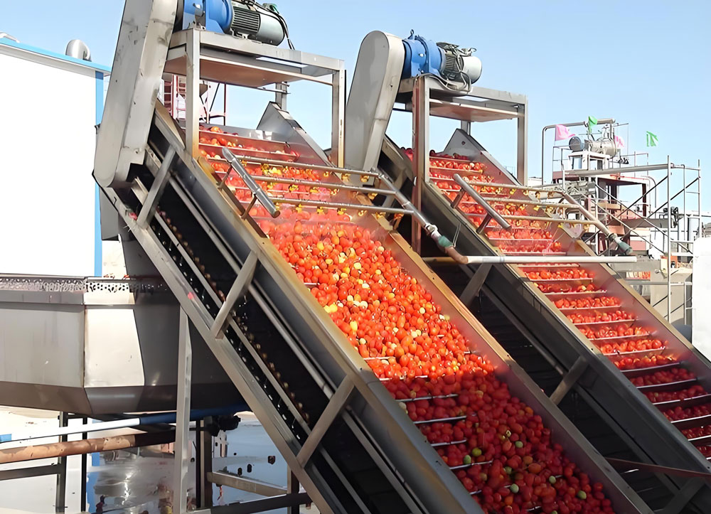 Equipment Showdown: Comparing Different Brands of Tomato Paste Production Line Equipment(图1)