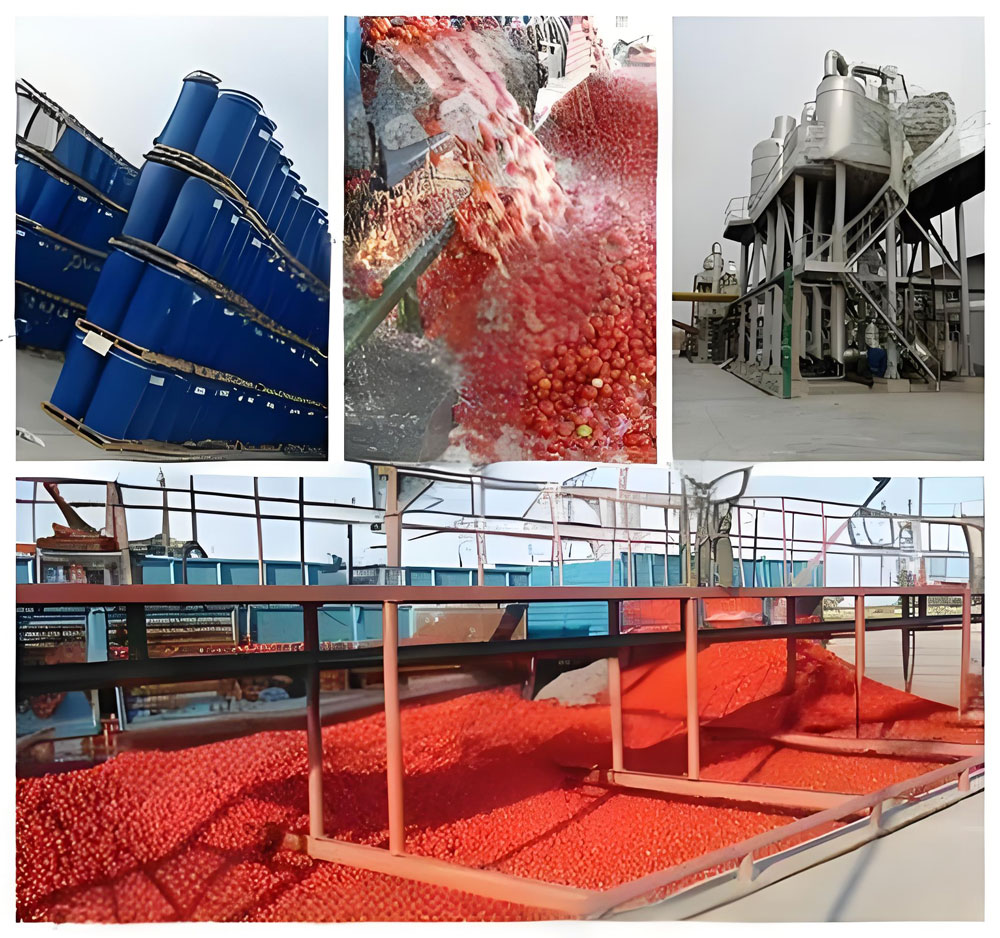 Equipment Showdown: Comparing Different Brands of Tomato Paste Production Line Equipment(图2)