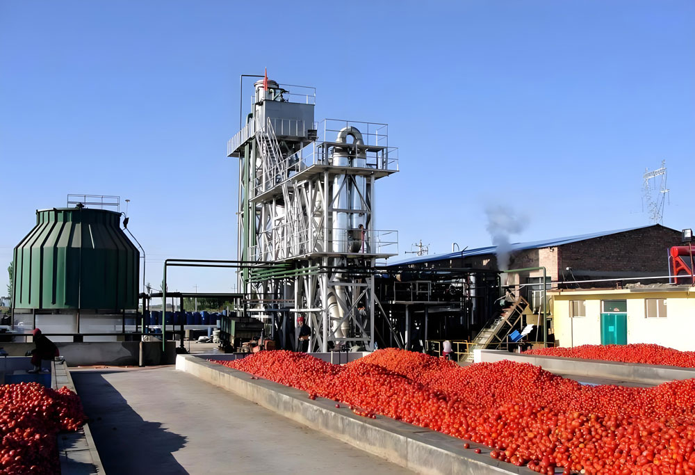 Comparison of Different Brands of Tomato Paste Production Line Equipment(图1)