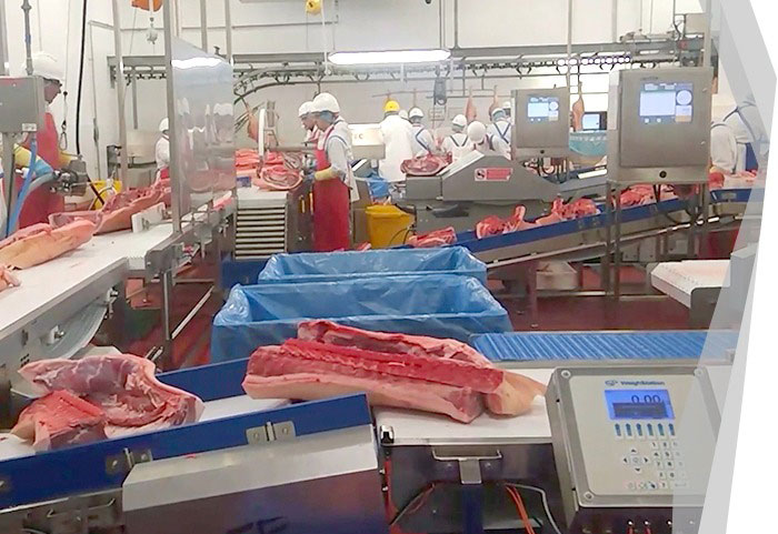 Beef Processing Equipment Overview: The Key to Enhancing Production Efficiency