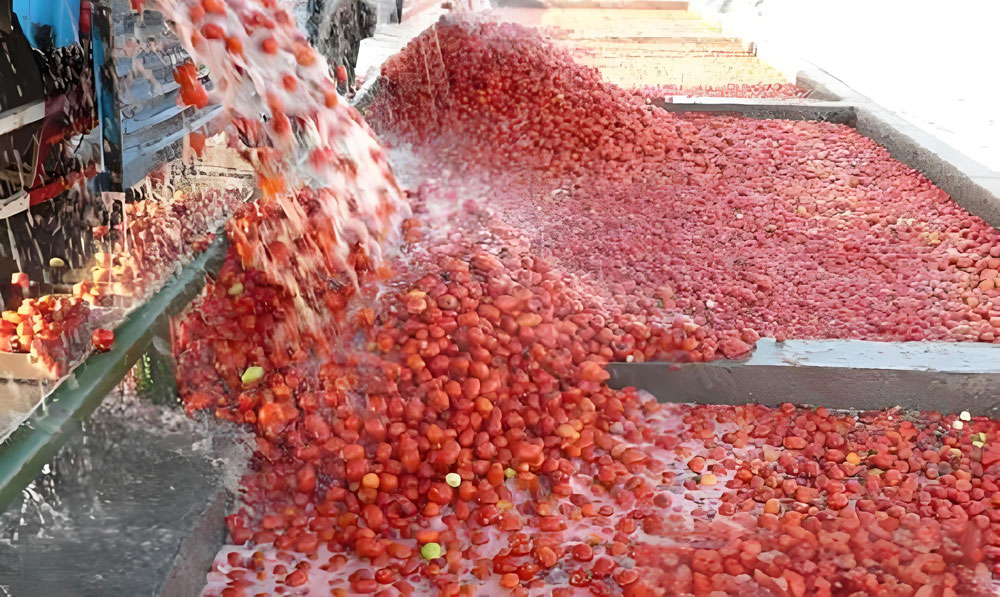 What are the environmental protection technologies of ketchup production line?