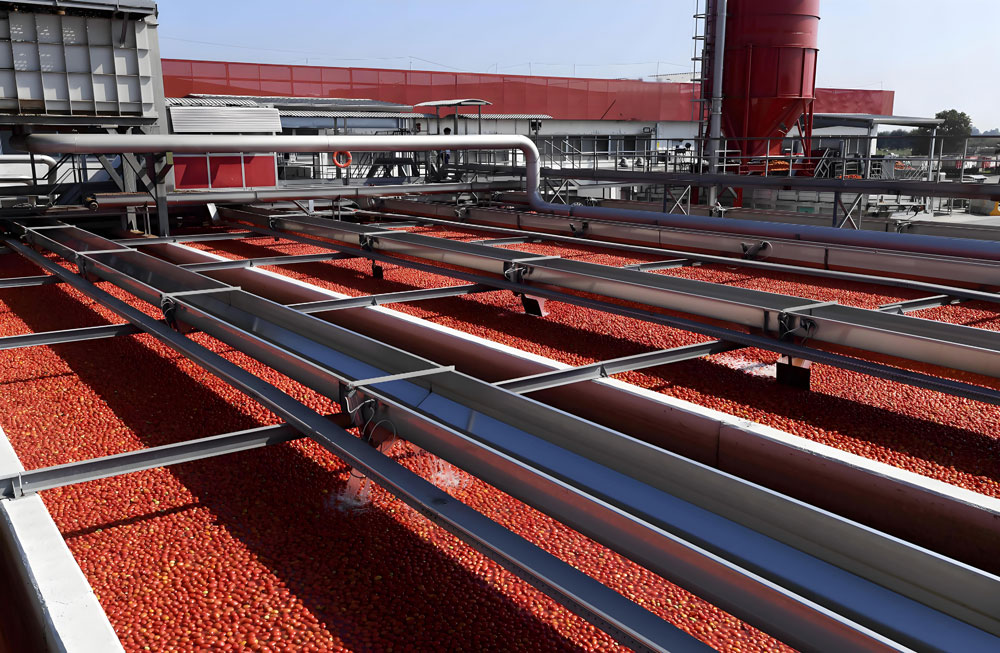 How Does Automation Equipment Boost Efficiency in Tomato Paste Production Lines?