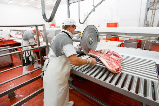 Essential Meat Processing Products Every Business Needs for Success(图1)