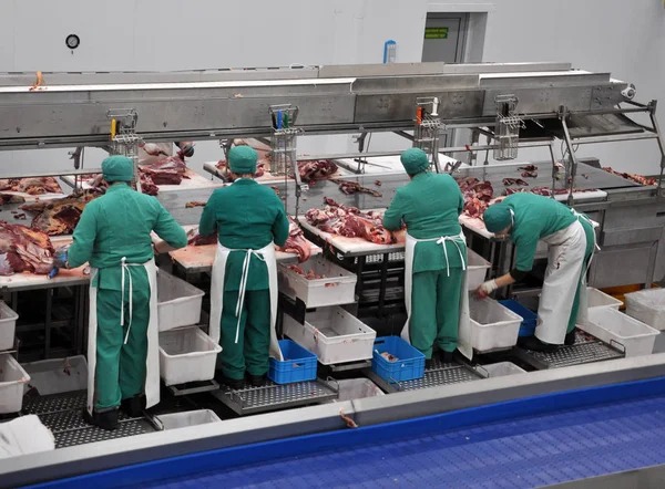 Meat Processing Equipment Reduce Downtime Solutions: Maximizing Productivity in Modern Facilities(图1)